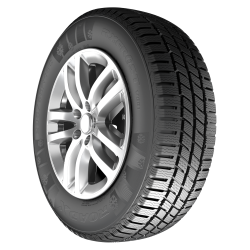 195/75R16C 107/105R FROST WC01 RoadX