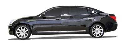 Equus  /  centennial